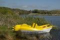 Pedalo or Paddle Wheel Boat in the shape of dolphins in reeds of a lake Royalty Free Stock Photo