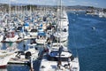 Peddle Boards and Boats at California Beach Marina