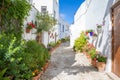 White alley narrowing with plants and flower pots in Vejer old t