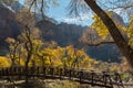 Trail in Zion National Park crosses the Virgin River Royalty Free Stock Photo