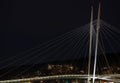 Pedestrian bridge on the Drammenselva River in Drammen Royalty Free Stock Photo