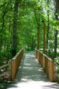 Pedestrian Bridge in Forest