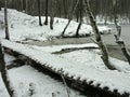 Pedestrian bridge over a small stream in a forest park Royalty Free Stock Photo