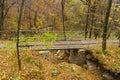 Pedestrian bridge with a path in autumn forest. Natural background with copy space for text