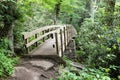 Pedestrian Bridge Trail Blue Ridge Mountains NC Royalty Free Stock Photo