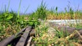 Bamboo pedestrian bridge between the grass