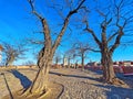 The Church Square and old town roofs of Szentendre, Hungary Royalty Free Stock Photo