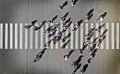 Pedestrian crossing crosswalk. Top view. Royalty Free Stock Photo