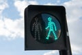 Pedestrian crossing green traffic light meaning `crossing allowed`