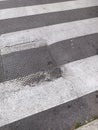 Pedestrian crossing in Italy, close-up of the driveway