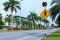 Pedestrian crossing road sign with red traffic light, empty city street with palm trees and flowers Royalty Free Stock Photo