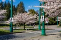 Pedestrian crossing road sign at Stanley Park, Vancouver, BC, Canada