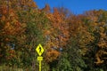 Pedestrian crossing sign in autumn Royalty Free Stock Photo