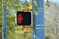 Pedestrian crossing sign Royalty Free Stock Photo