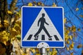 Pedestrian crossing sign in urban autumm setting Royalty Free Stock Photo