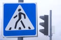 Pedestrian crossing sign on the road. Traffic lights and other road signs. Traffic regulation Royalty Free Stock Photo