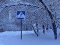 pedestrian crossing sign in the snow against the background of snow-covered tree branches. winter in the city Royalty Free Stock Photo