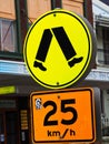 Pedestrian Crossing and Speed Advisory Signs, Sydney City, Australia