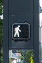 Pedestrian crosswalk sign