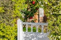 The pedestrian gate and garden of a typical English residential old London town house Royalty Free Stock Photo