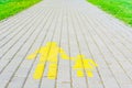 Pedestrian lanes sign on walkway and green grass field background