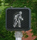 Pedestrian Light