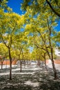 Pedestrian passage tunnel with trees shading Rua dos JacarandÃ¡s