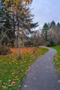 pedestrian path in an autumn city park with red and yellow fallen leaves on green grass, bare trees and green spruce trees Royalty Free Stock Photo