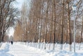 A pedestrian path in a city park with bare trees covered with white snow. there are lighting lanterns along the path. people Royalty Free Stock Photo