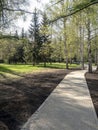 pedestrian path in the city park in the early spring morning Royalty Free Stock Photo
