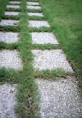 Pedestrian path on green grass