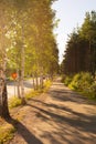 Pedestrian path or lane in the sunset.