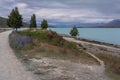 The pedestrian path next to Lake Tekapo on a cloudy late afternoon