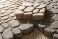 Pedestrian path with paver bricks. Sidewalk pavement