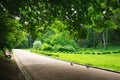 Pedestrian path in summer green city park on background of trees Royalty Free Stock Photo