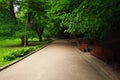 Pedestrian path in summer green city park on background of trees Royalty Free Stock Photo