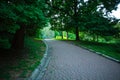 Pedestrian path in summer green city park on background of trees Royalty Free Stock Photo