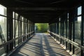 pedestrian pathway above highway, golden light shining creating shadows. green forest in the end