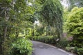 Pedestrian pathway in Singapore Botanical garden Royalty Free Stock Photo