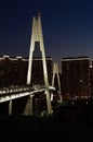 Pedestrian Pavshinskiy bridge in Krasnogorsk, Moscow region. foot bridge with illumination in night city Royalty Free Stock Photo