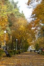 Pedestrian road in the autumn park. Bright colorful leaves on tree branches in autumn Royalty Free Stock Photo