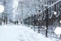 Pedestrian sidewalk the fence winter Royalty Free Stock Photo