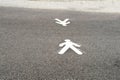 Pedestrian sign is painted on the asphalt with white paint to indicate a pedestrian crossing on the road, pedestrian observes the Royalty Free Stock Photo