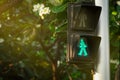 Pedestrian signals on traffic light pole. Pedestrian crossing sign for safe to walk in the city. Crosswalk signal. Green traffic