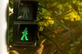 Pedestrian signals on traffic light pole. Pedestrian crossing sign for safe to walk in the city. Crosswalk signal. Green traffic