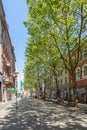 pedestrian street in midday sun with trees and shops in the historic classicistic buildings in Wiesbaden