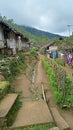 A pedestrian of a traditional housing estate in Lembang, Bandung