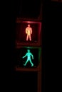 Pedestrian traffic light with both red and green lights illuminated at the same time. Black night background. Silhouettes of Royalty Free Stock Photo