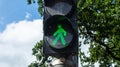 Pedestrian traffic light green color