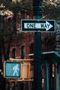 Pedestrian traffic light and One Way signs in Manhattan, New York